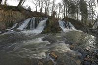 Cjp_2011_02_12_103426-3.jpg