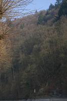 Cjp_2011_03_16_081125.jpg