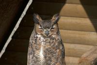 Cjp_2011_03_16_092356.jpg