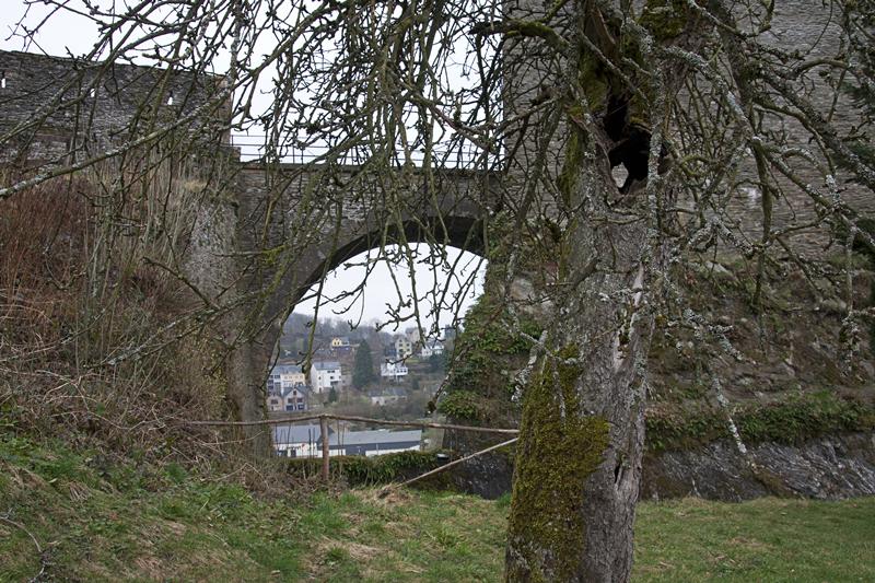 Cjp_2011_03_16_143537.jpg