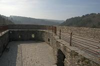 Cjp_2011_03_16_124419.jpg