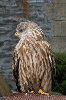 Cjp_2011_03_16_135415.jpg