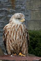 Cjp_2011_03_16_135439.jpg