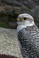 Cjp_2011_03_16_135636.jpg
