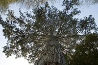 Cjp_2011_04_07_132845.jpg