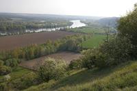 Cjp_2011_04_08_154616.jpg