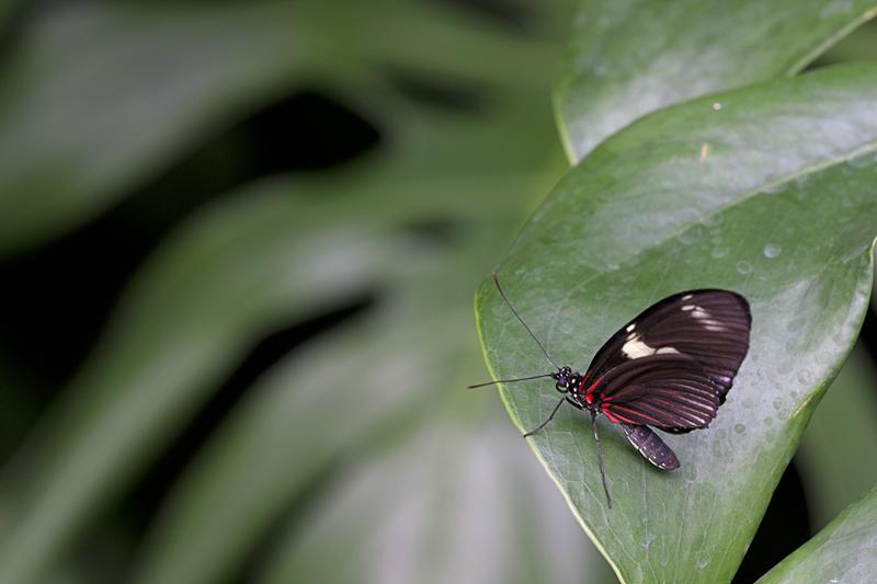 Cjp_2011_04_27_124345.jpg