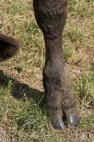 Cjp_2011_07_07_144920.jpg