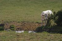 Cjp_2011_07_07_145608.jpg