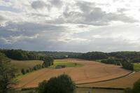 Cjp_2011_07_07_172413.jpg