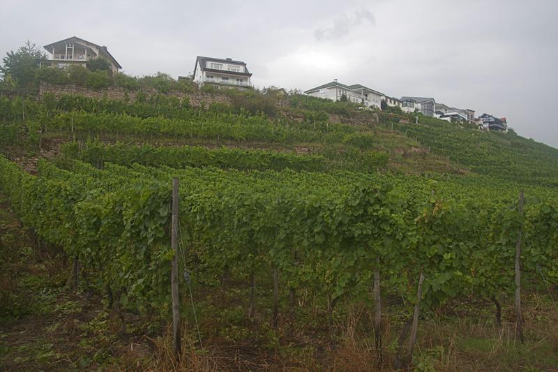 Cjp_2011_08_25_142014.jpg