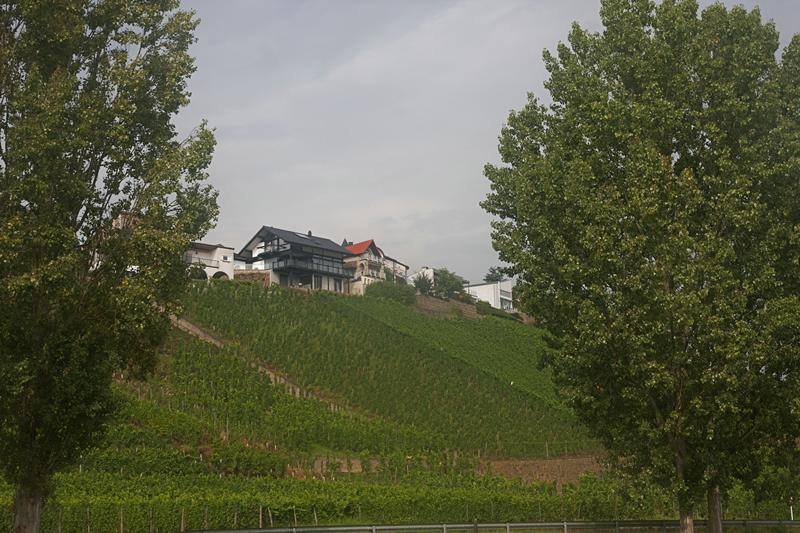 Cjp_2011_08_25_142352.jpg