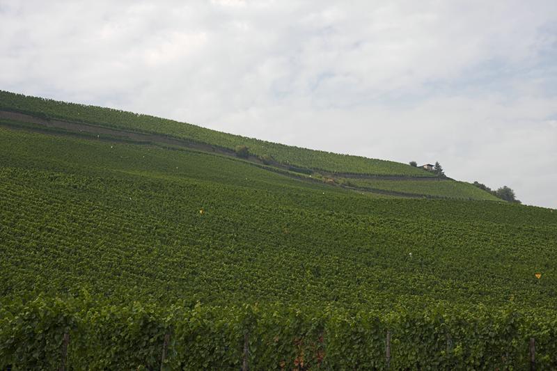 Cjp_2011_08_25_151418.jpg