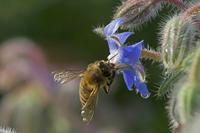 Cjp_2011_08_24_162024.jpg