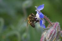 Cjp_2011_08_24_162446.jpg