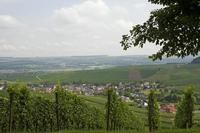 Cjp_2011_08_25_113558.jpg