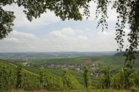 Cjp_2011_08_25_113626.jpg