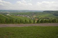 Cjp_2011_08_25_113708.jpg