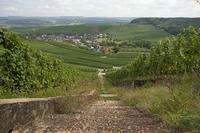 Cjp_2011_08_25_113816.jpg