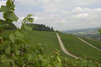 Cjp_2011_08_25_113836.jpg