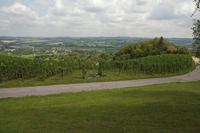 Cjp_2011_08_25_120000.jpg
