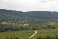 Cjp_2011_08_25_120300.jpg