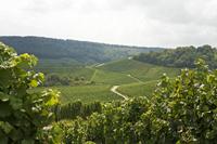 Cjp_2011_08_25_120318.jpg