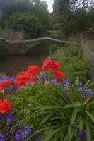 Cjp_2011_08_25_141854.jpg