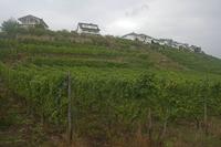 Cjp_2011_08_25_142014.jpg