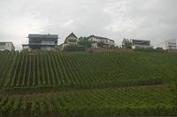 Cjp_2011_08_25_142644.jpg