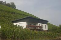 Cjp_2011_08_25_142948.jpg