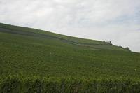 Cjp_2011_08_25_151418.jpg