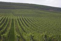 Cjp_2011_08_25_151454.jpg