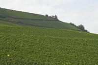 Cjp_2011_08_25_151904.jpg
