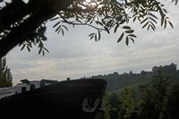 Cjp_2011_08_25_154652.jpg