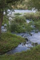 Cjp_2011_08_25_172954.jpg