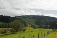 Cjp_2011_08_27_133908.jpg