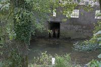 Cjp_2011_08_28_114018.jpg