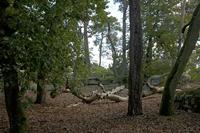 Cjp_2011_09_22_134044.jpg