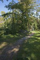 Cjp_2011_09_22_140620.jpg