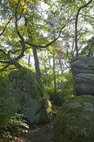 Cjp_2011_09_22_141832.jpg