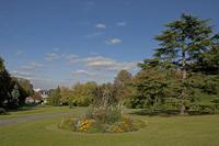 Cjp_2011_09_22_142350.jpg