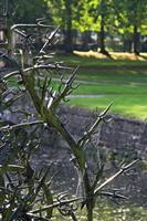 Cjp_2011_09_23_085027.jpg