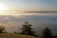 Cjp_2011_10_20_064628.jpg