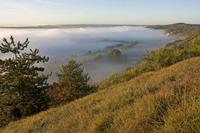 Cjp_2011_10_20_070108.jpg
