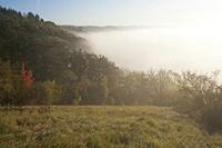 Cjp_2011_10_20_070842.jpg