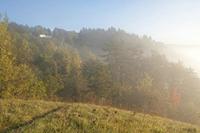 Cjp_2011_10_20_071242.jpg