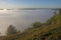 Cjp_2011_10_20_071832.jpg