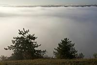 Cjp_2011_10_20_071956.jpg