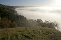 Cjp_2011_10_20_072514.jpg